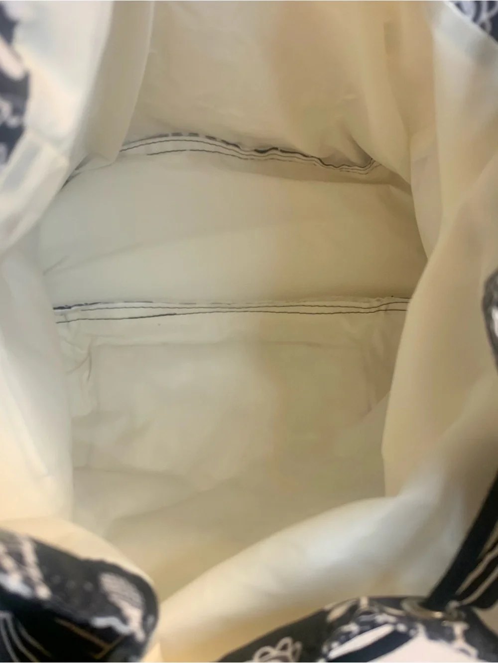 Lesportsac backpack bold